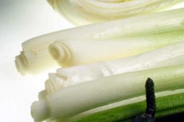 Kraken onion зеркала 2024