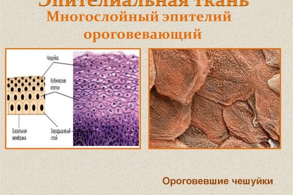 Как зарегаться в кракен